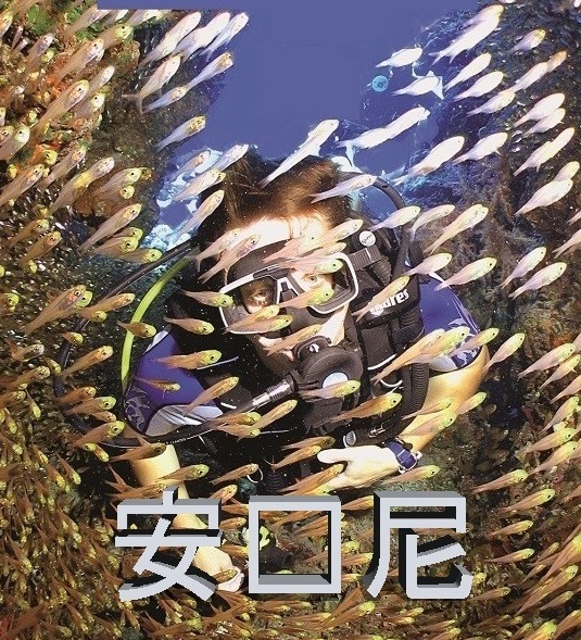 Изделия Петра Власова