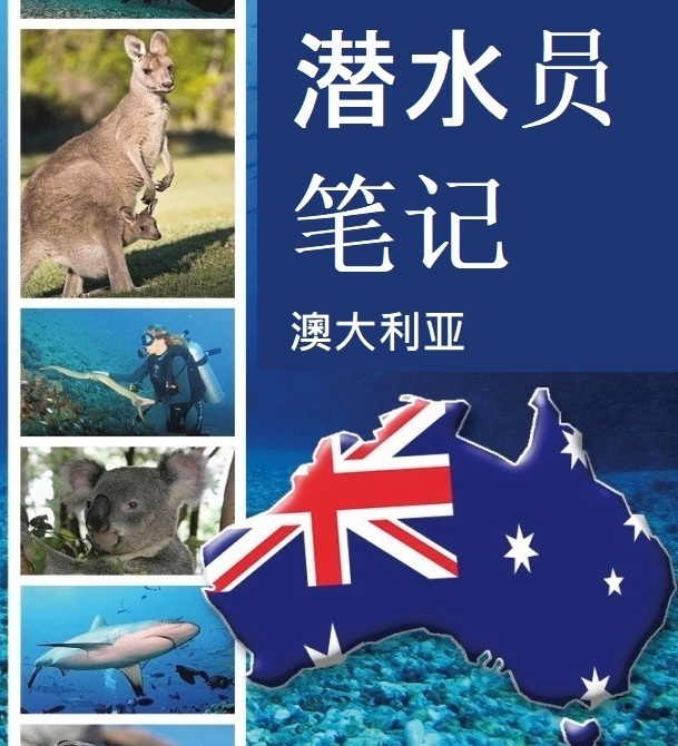 Изделия Петра Власова