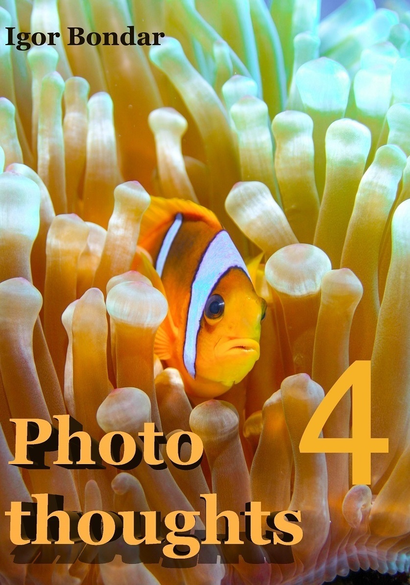 Photo thoughts 3