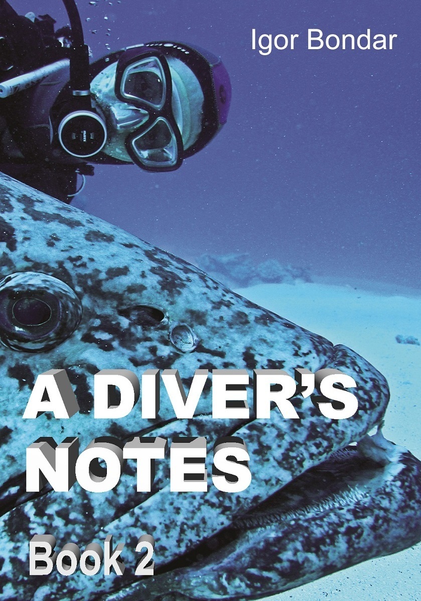A diver's notes Book 2
